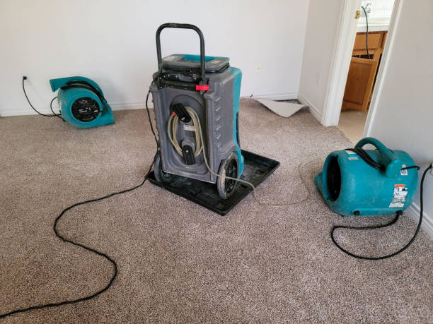Best Professional water damage repair  in Winton, CA