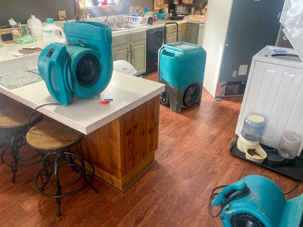 Best Basement water damage restoration  in Winton, CA