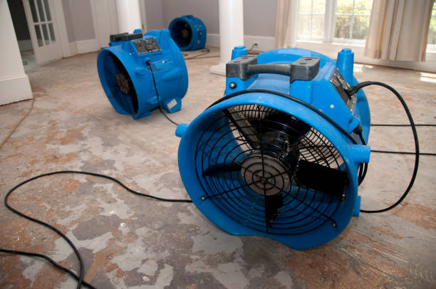 Best Water damage restoration near me  in Winton, CA