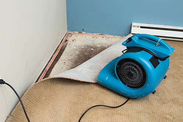 Best Water damage restoration insurance claims  in Winton, CA